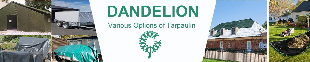 Various Options of Tarpaulin